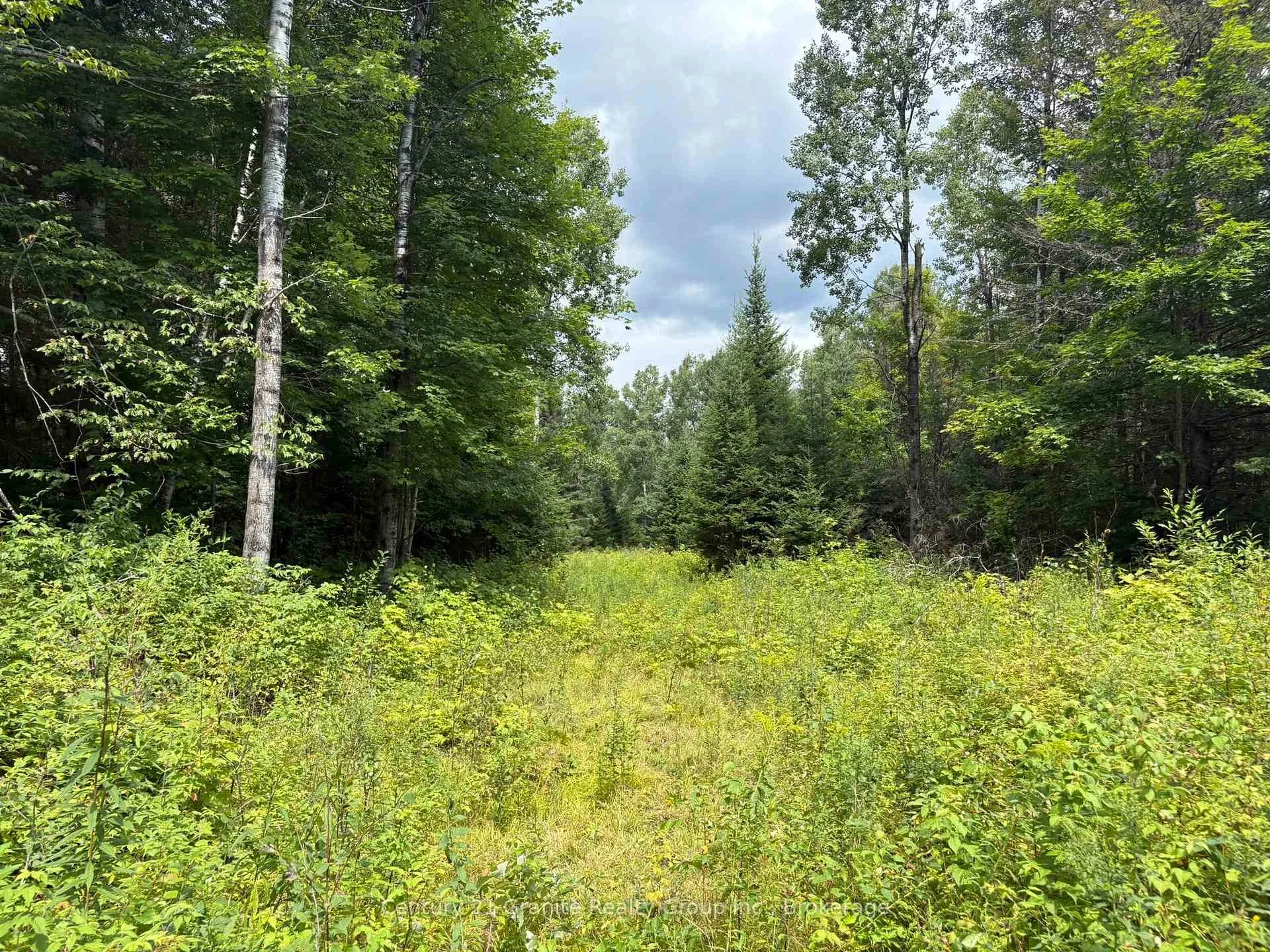 Photo 4 of Mackenzie Lake Road, South Algonquin — HOMEH
