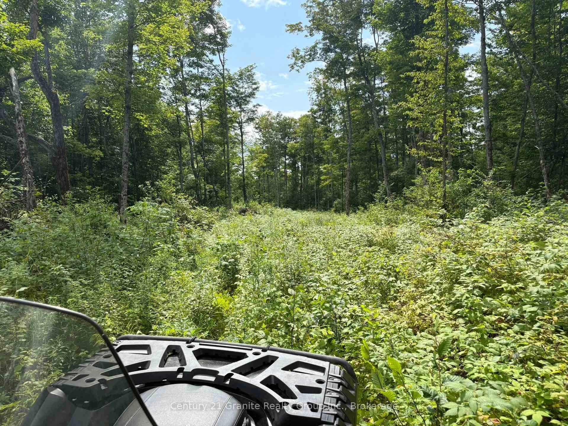 Photo 5 of Mackenzie Lake Road, South Algonquin — HOMEH