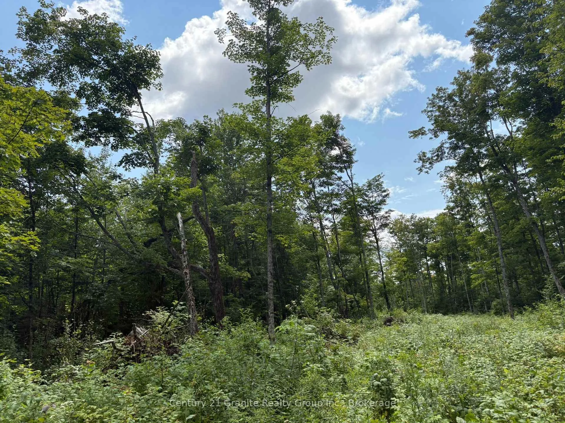 Photo 7 of Mackenzie Lake Road, South Algonquin — HOMEH