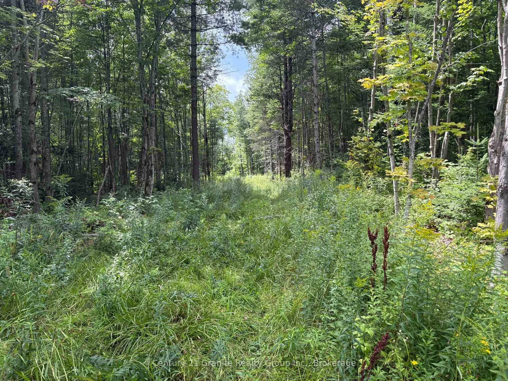 Photo 8 of Mackenzie Lake Road, South Algonquin — HOMEH