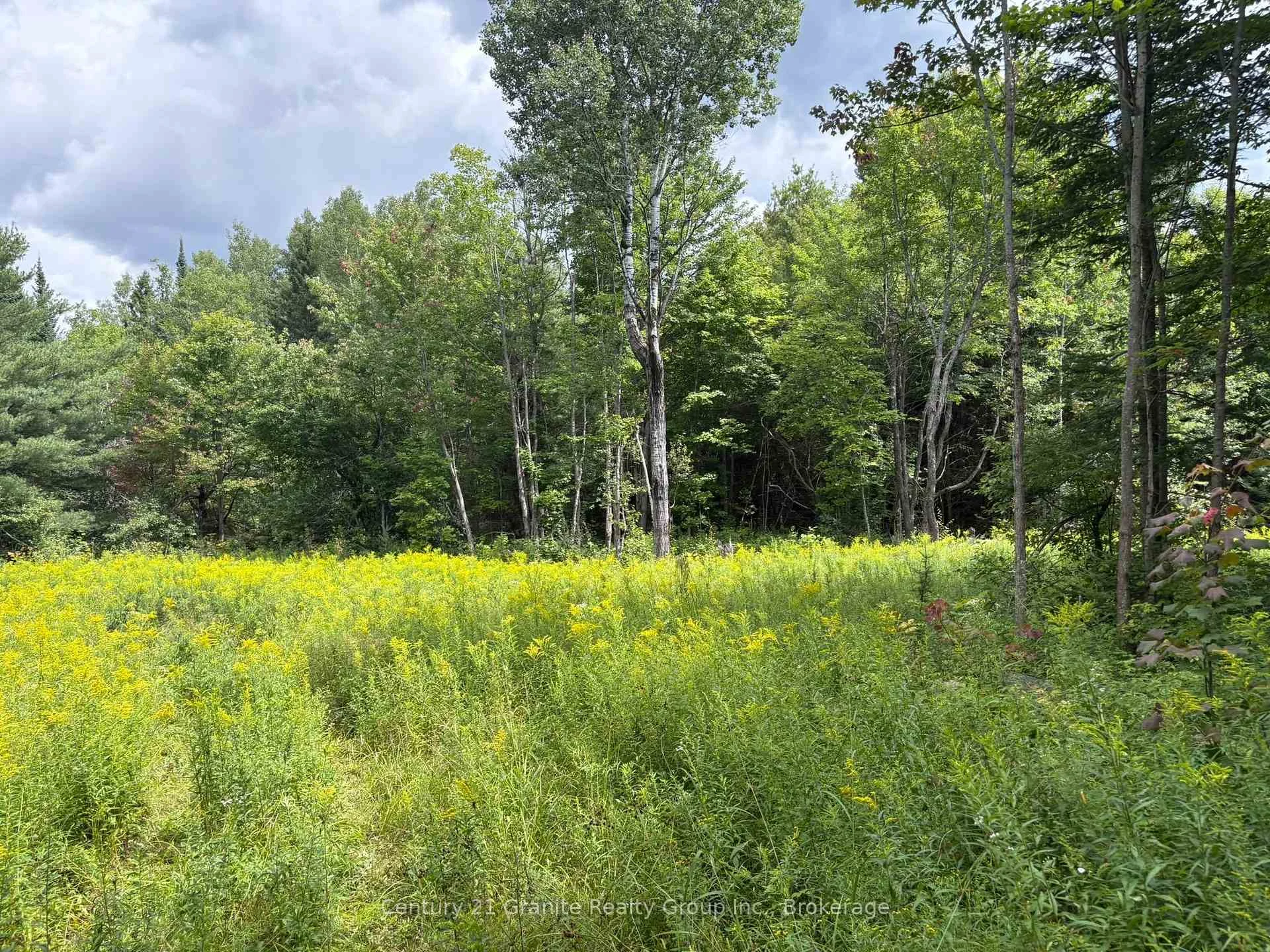 Photo 10 of Mackenzie Lake Road, South Algonquin — HOMEH