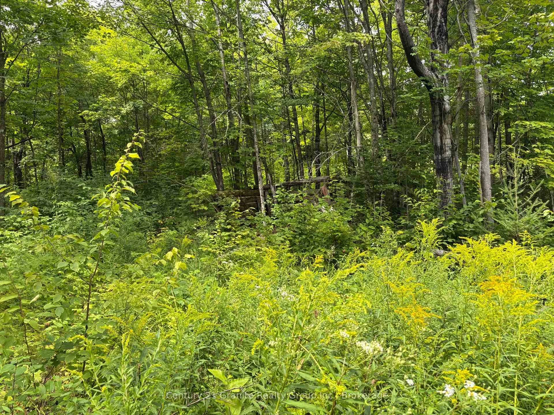 Photo 11 of Mackenzie Lake Road, South Algonquin — HOMEH