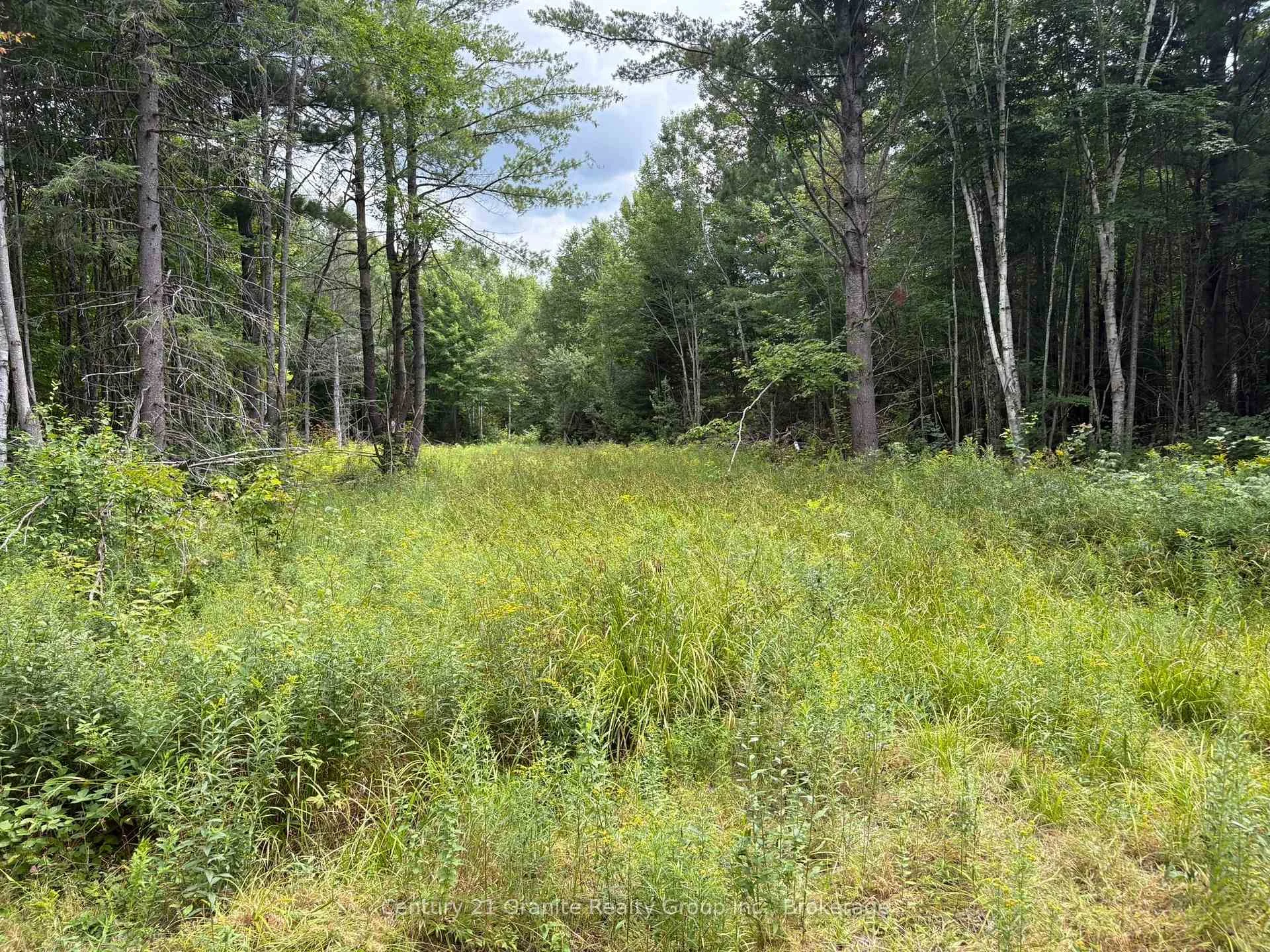 Photo 12 of Mackenzie Lake Road, South Algonquin — HOMEH