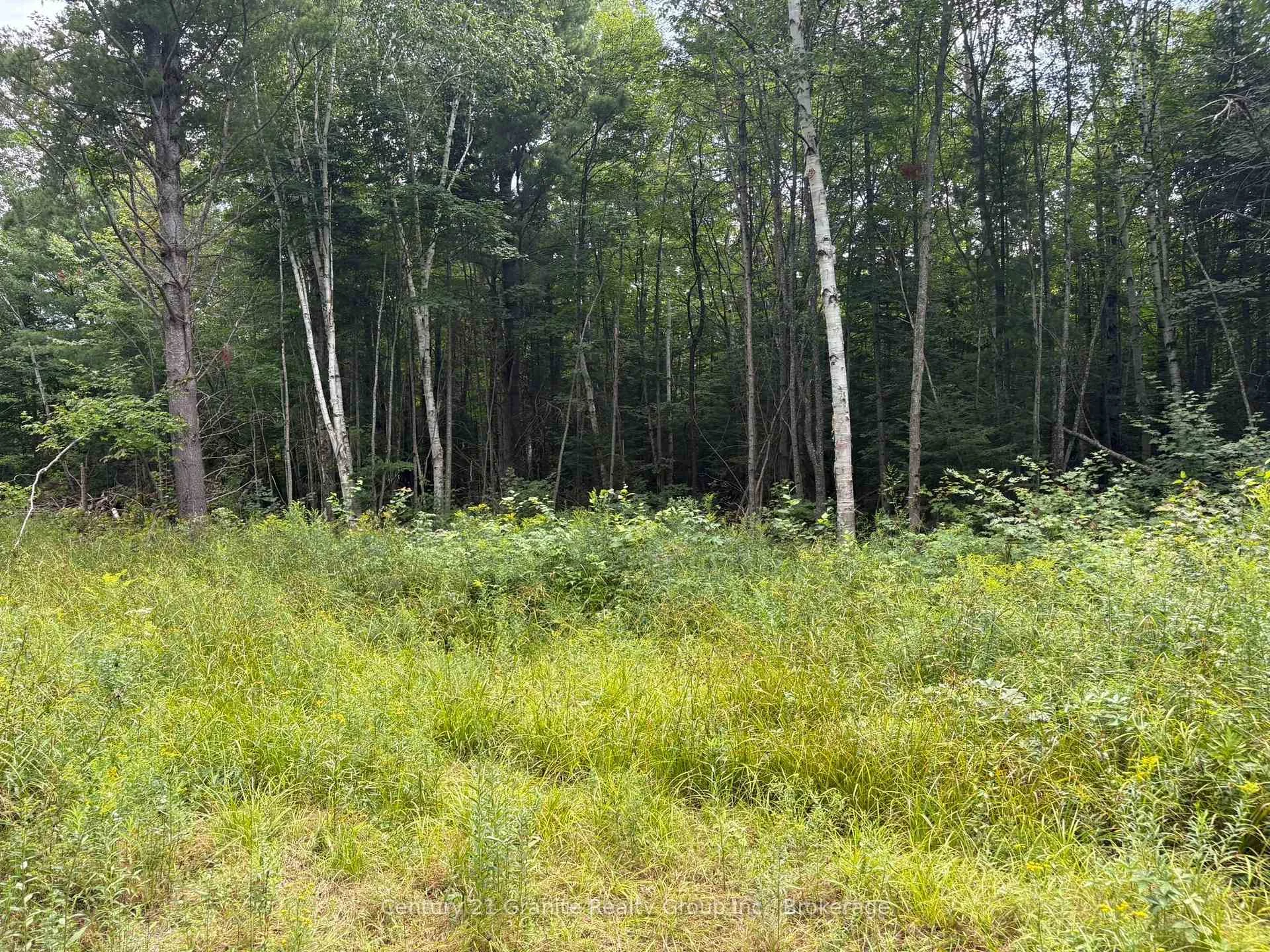Photo 13 of Mackenzie Lake Road, South Algonquin — HOMEH