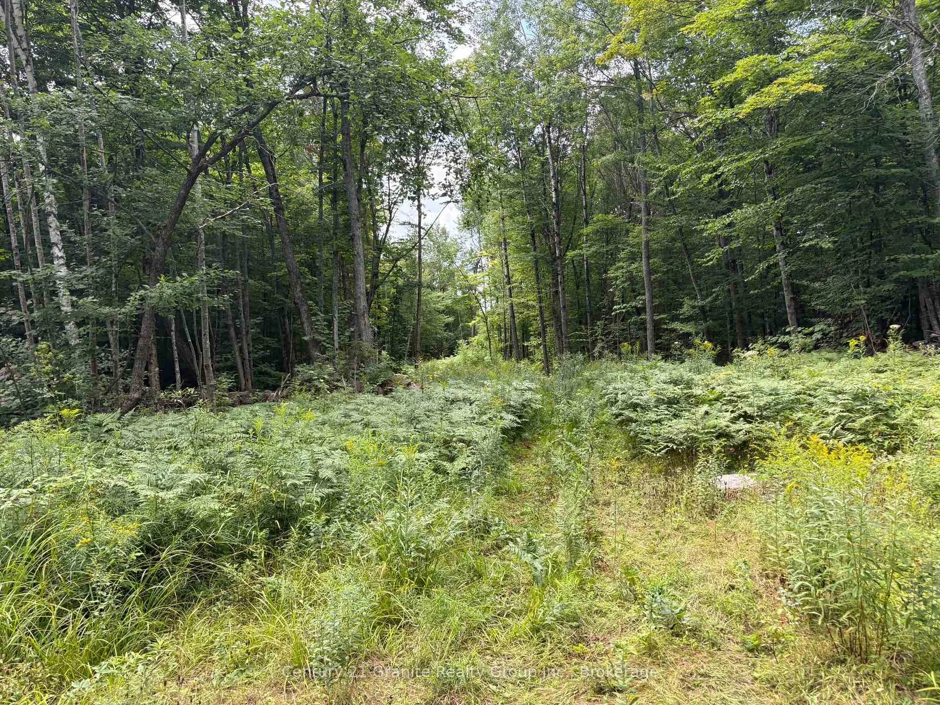 Photo 14 of Mackenzie Lake Road, South Algonquin — HOMEH