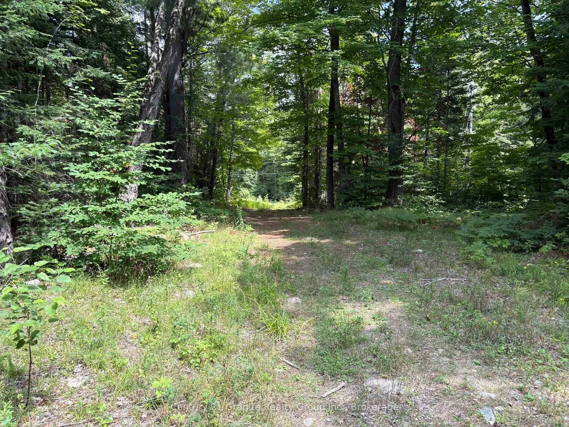 Photo 16 of Mackenzie Lake Road, South Algonquin — HOMEH