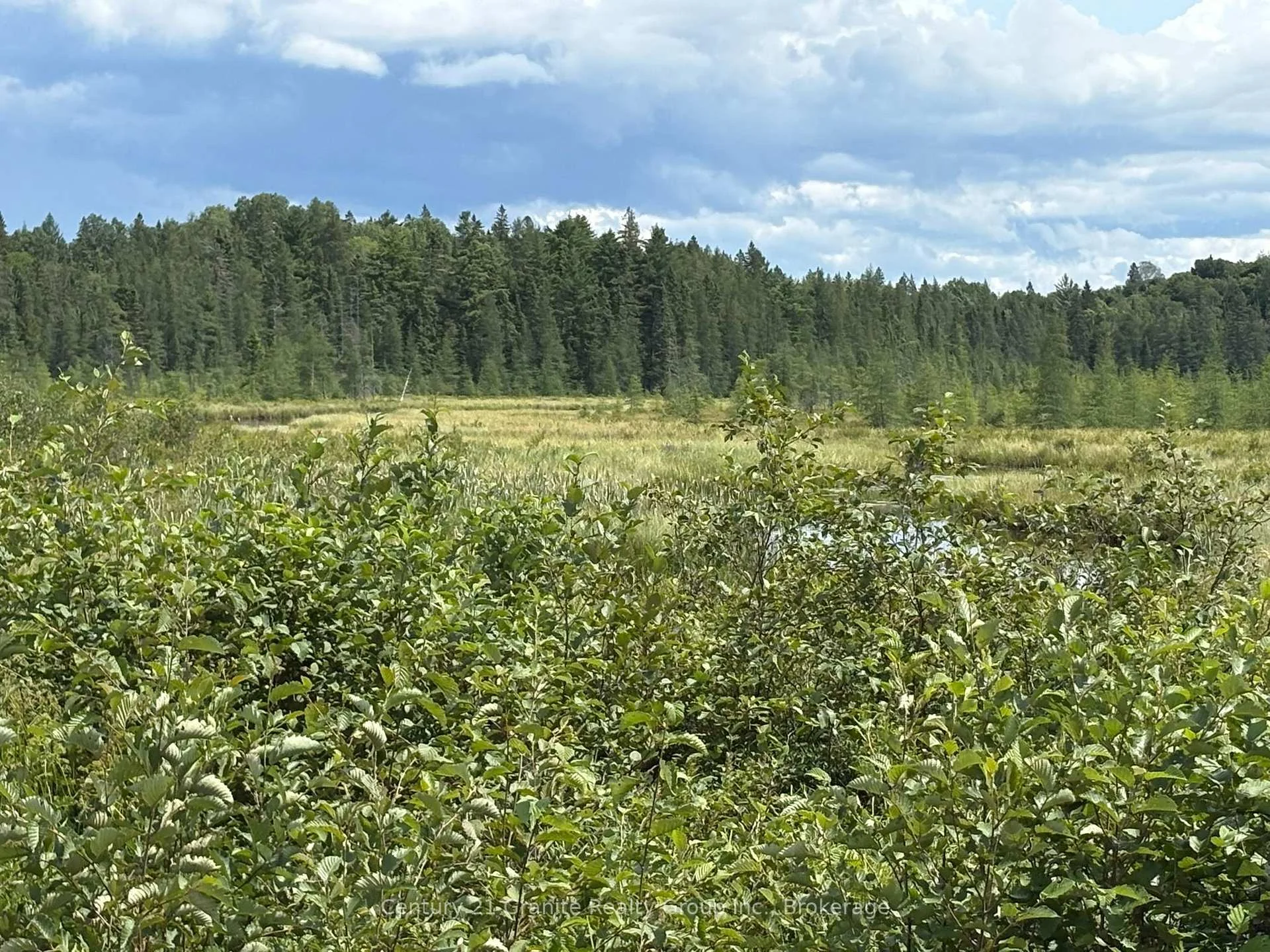 Photo 17 of Mackenzie Lake Road, South Algonquin — HOMEH