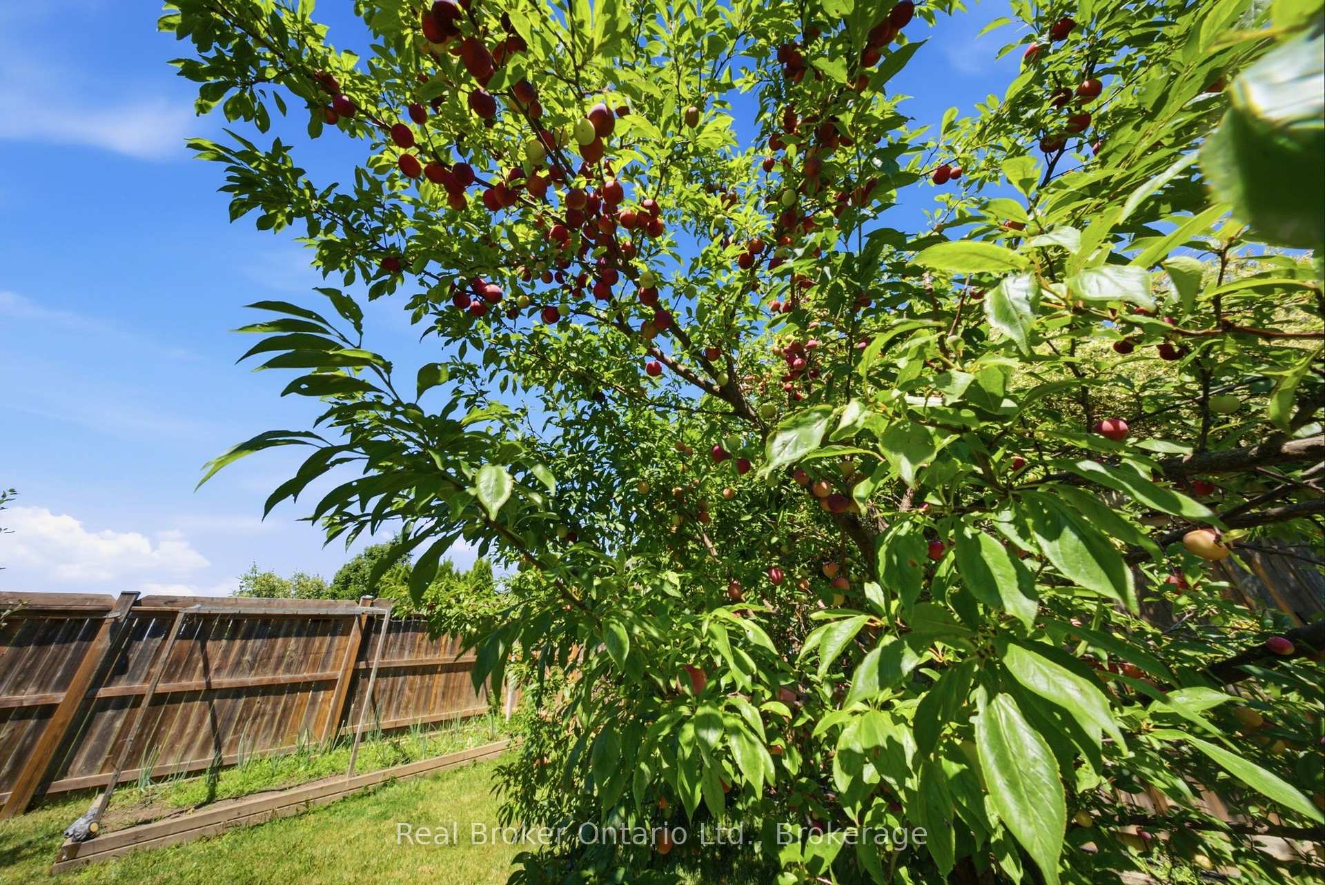 Photo 33 of 360 Dover Avenue, Norfolk, Port Dover — HOMEH