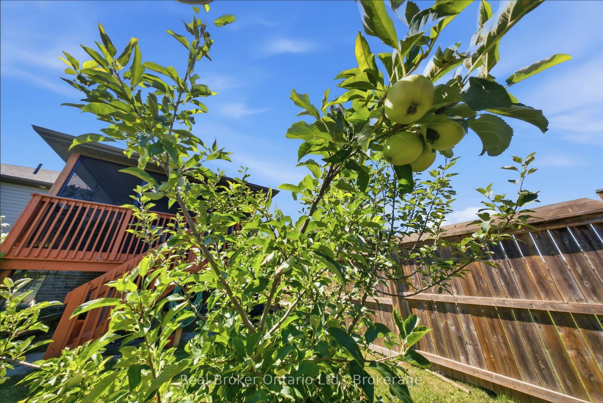 Photo 35 of 360 Dover Avenue, Norfolk, Port Dover — HOMEH