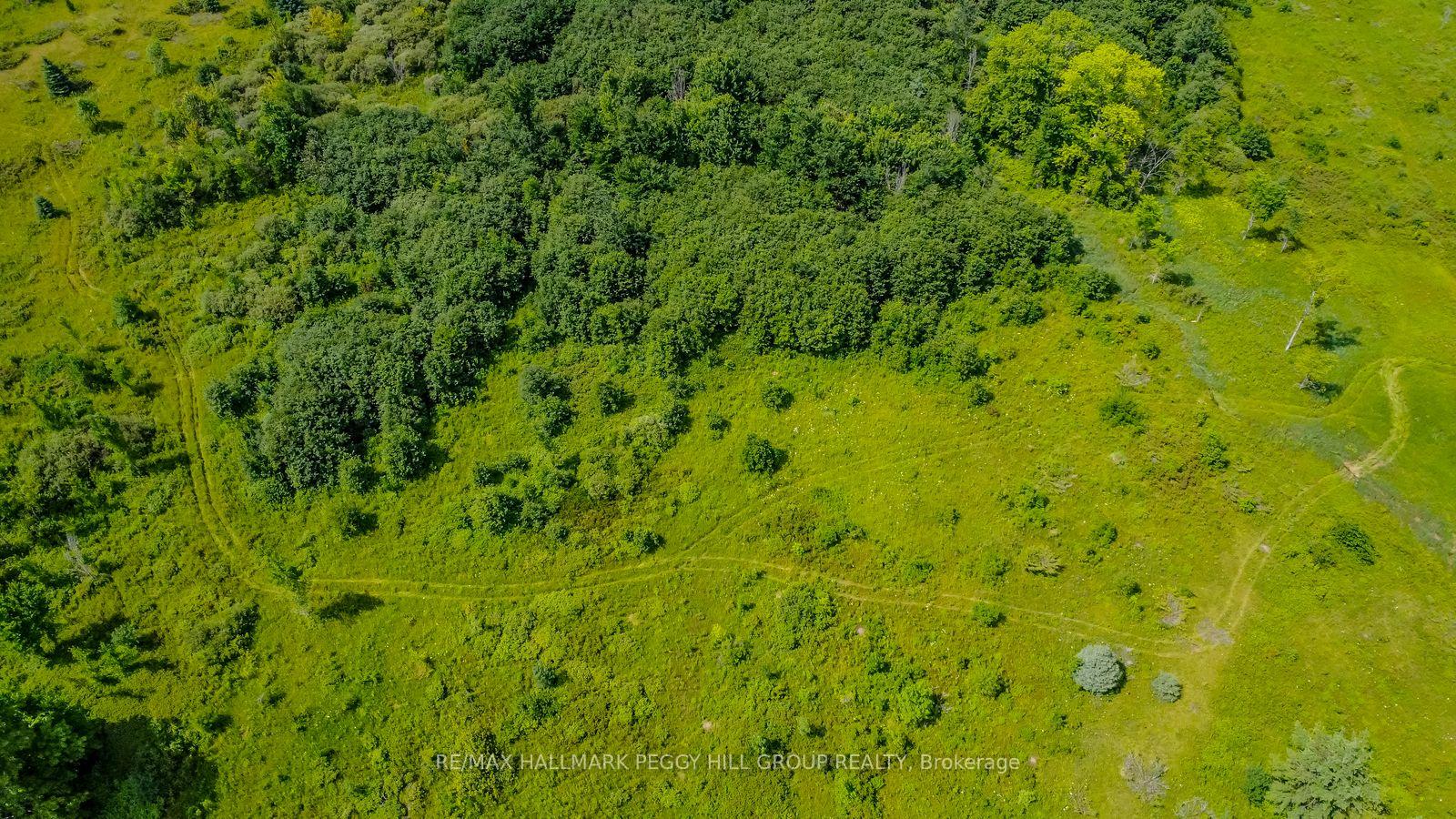 Photo 5 of Lot 5 Concession 5, Kawartha Lakes, Carden — HOMEH