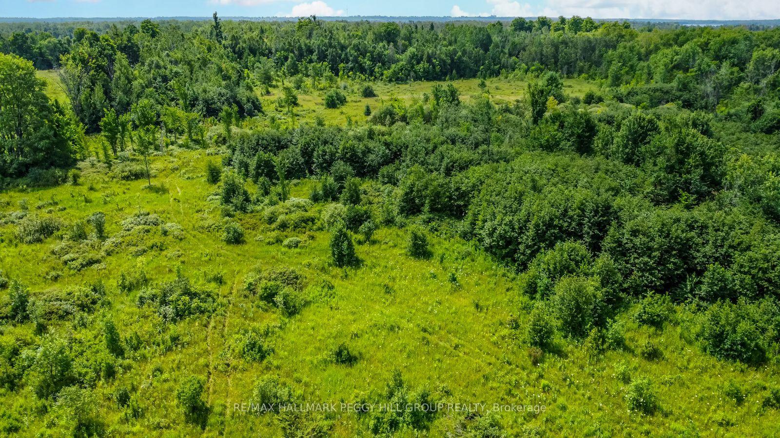 Photo 7 of Lot 5 Concession 5, Kawartha Lakes, Carden — HOMEH