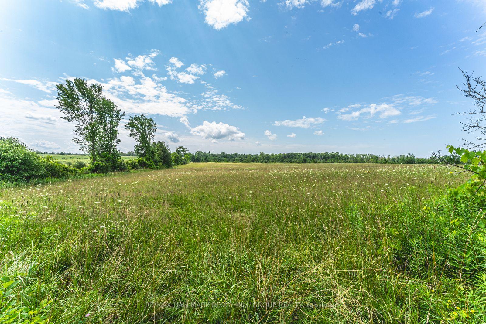 Photo 11 of Lot 5 Concession 5, Kawartha Lakes, Carden — HOMEH