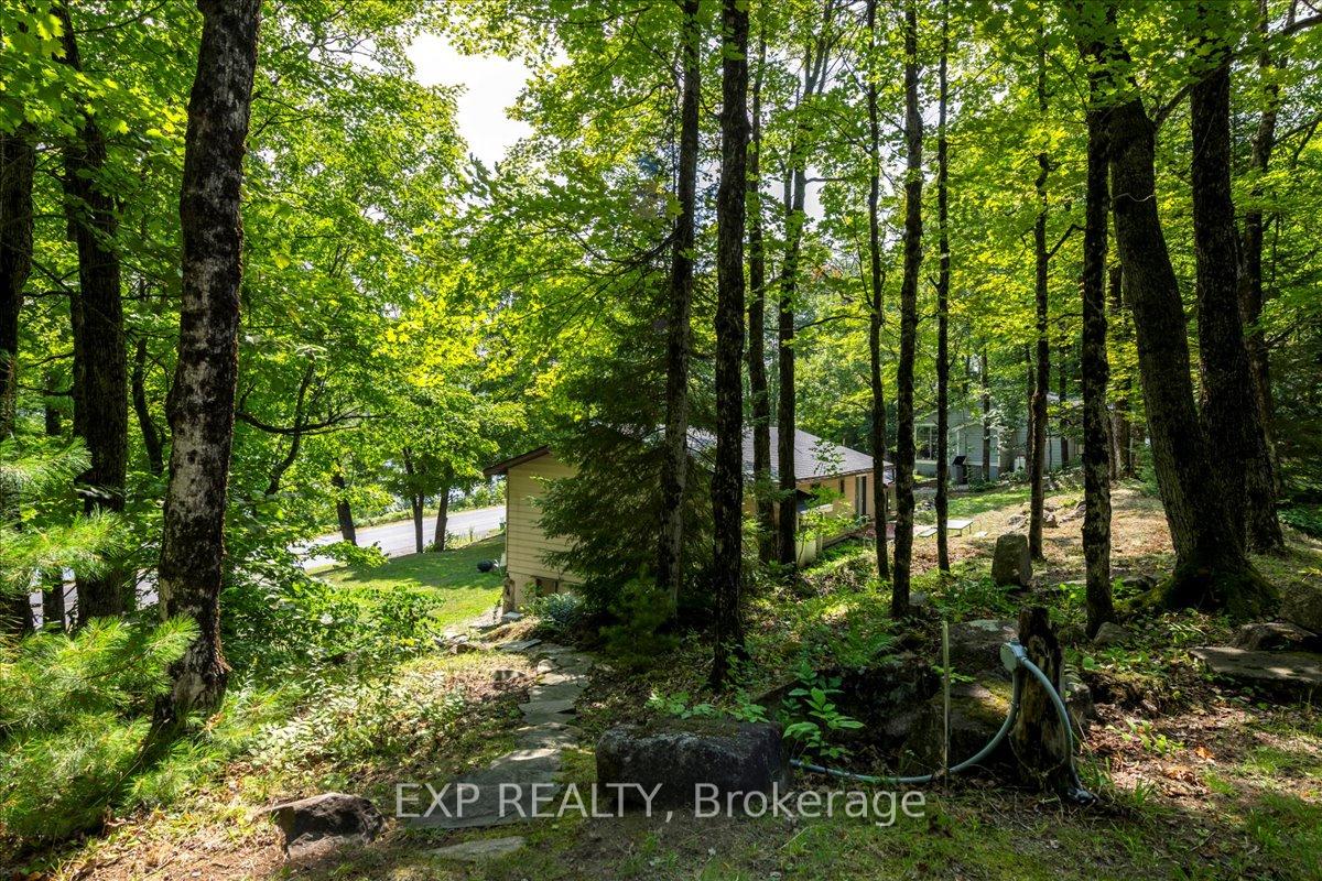 Photo 37 of 1867 Fraserburg Road, Bracebridge, Draper — HOMEH