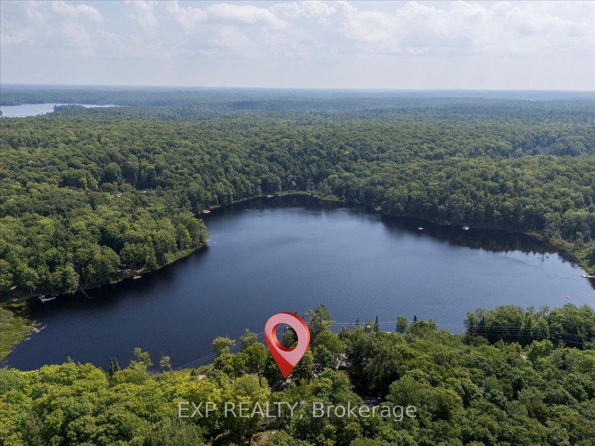 Photo 45 of 1867 Fraserburg Road, Bracebridge, Draper — HOMEH