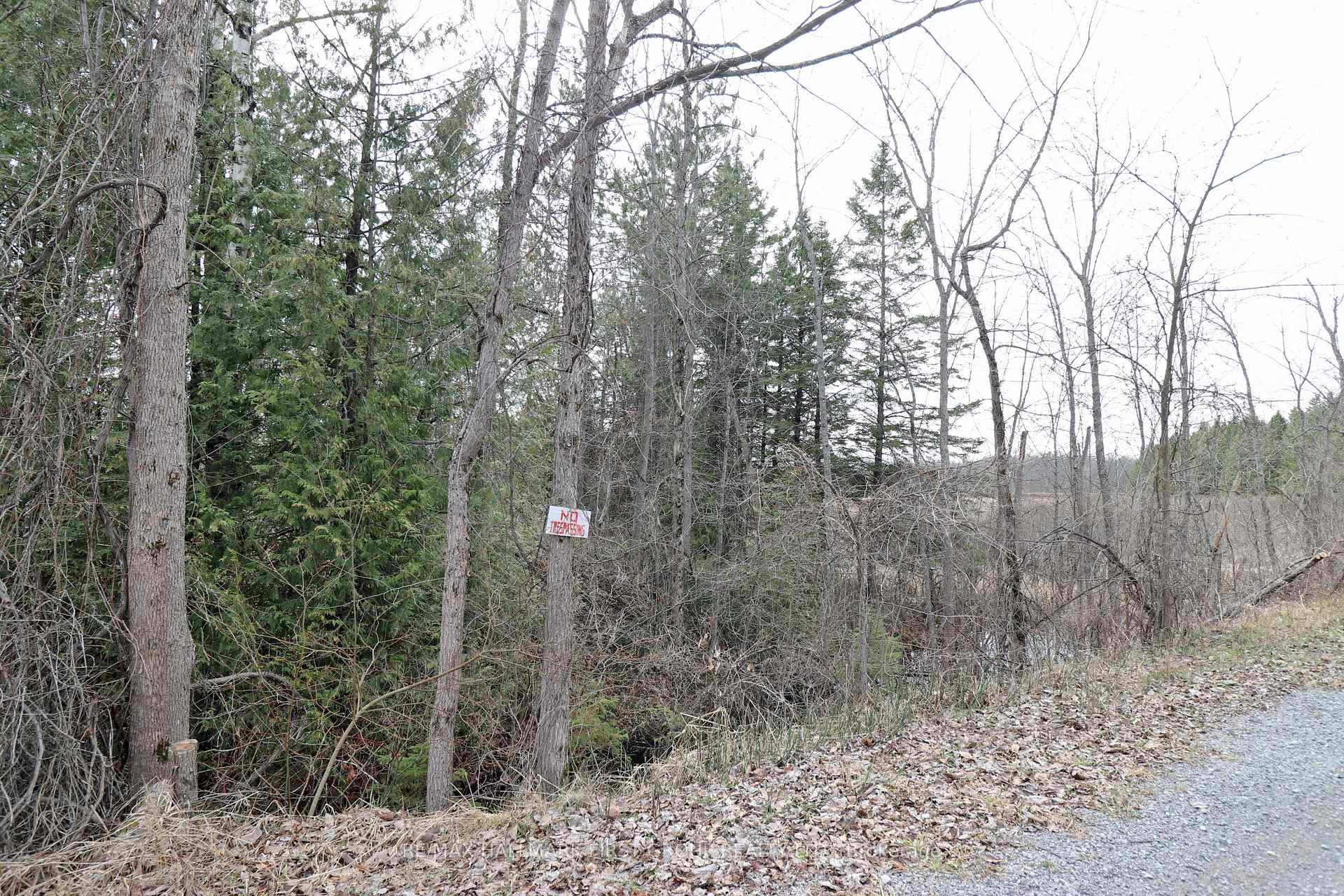 Photo 19 of 8 St. Marks Road, Stirling-Rawdon, Rawdon Ward — HOMEH
