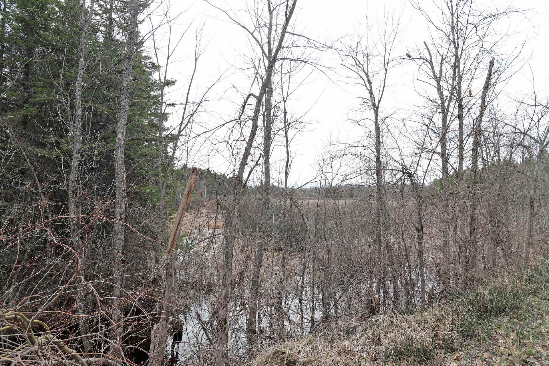 Photo 20 of 8 St. Marks Road, Stirling-Rawdon, Rawdon Ward — HOMEH