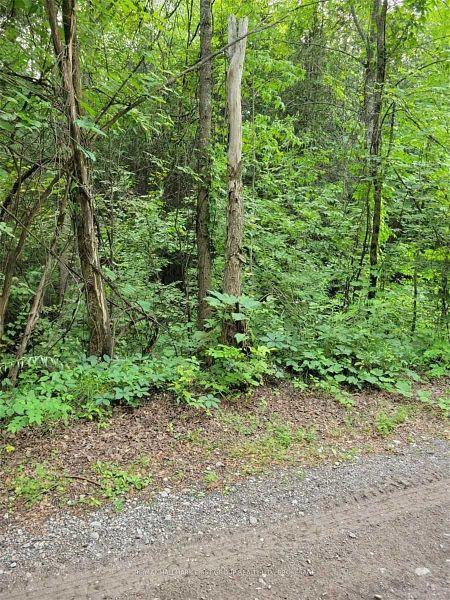 Photo 29 of 8 St. Marks Road, Stirling-Rawdon, Rawdon Ward — HOMEH