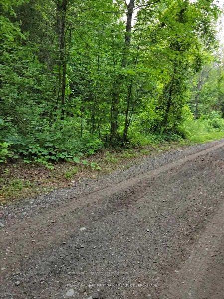 Photo 30 of 8 St. Marks Road, Stirling-Rawdon, Rawdon Ward — HOMEH