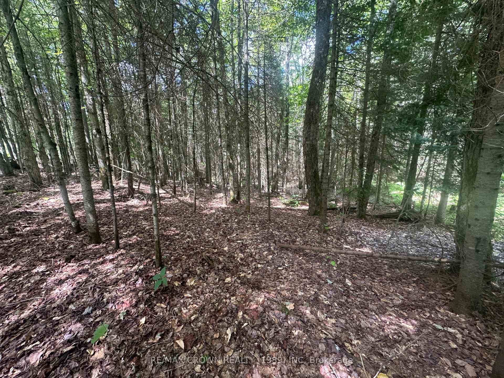 Photo 22 of PCL 25477 Sec Ss Road, McMurrich/Monteith, Sprucedale — HOMEH