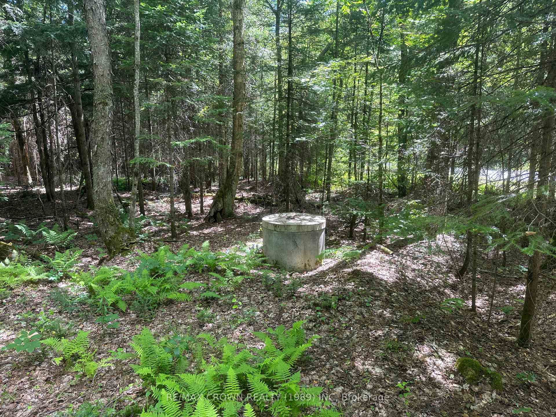 Photo 25 of PCL 25477 Sec Ss Road, McMurrich/Monteith, Sprucedale — HOMEH