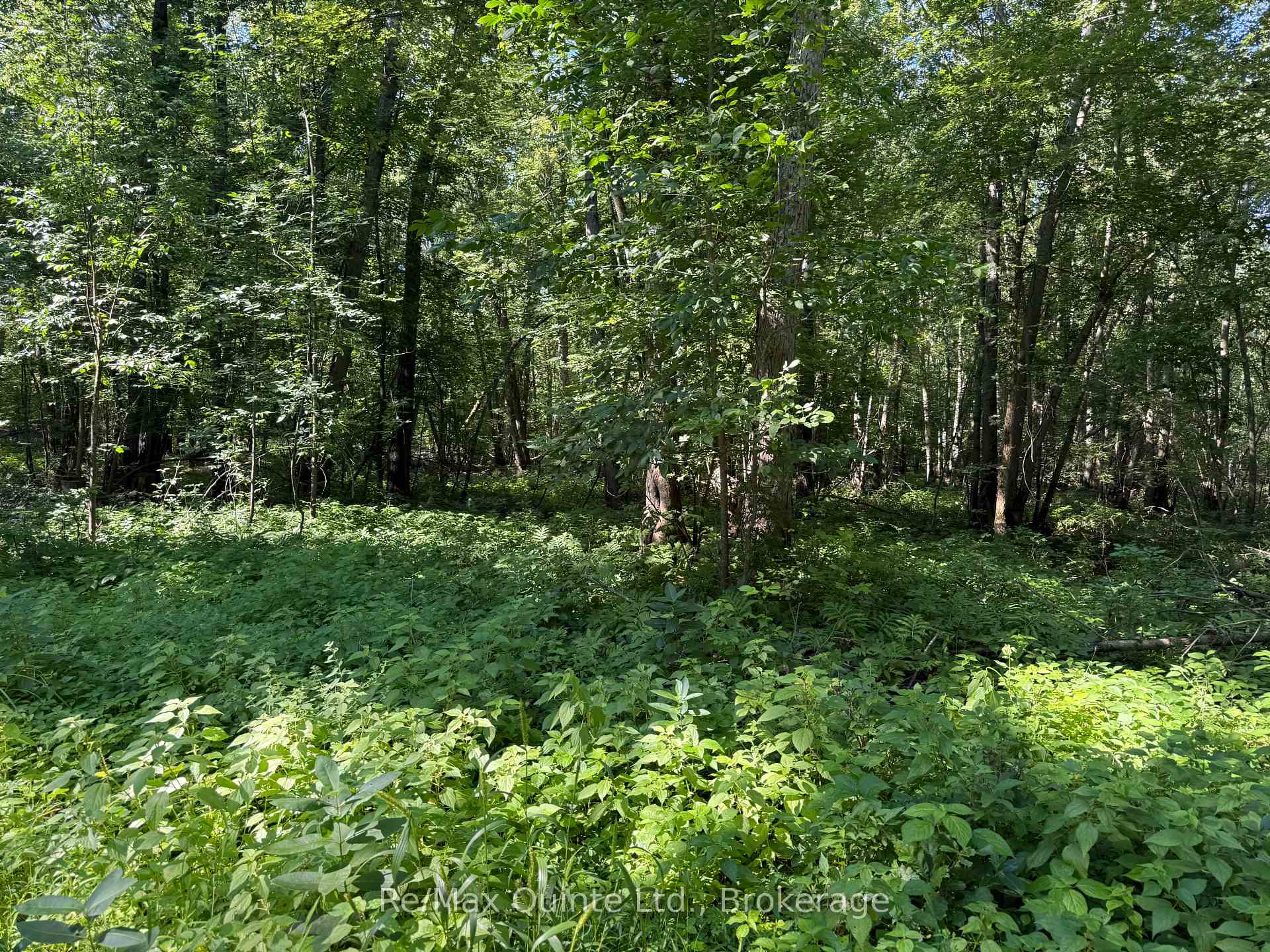 Photo of 0 Trillium Lane