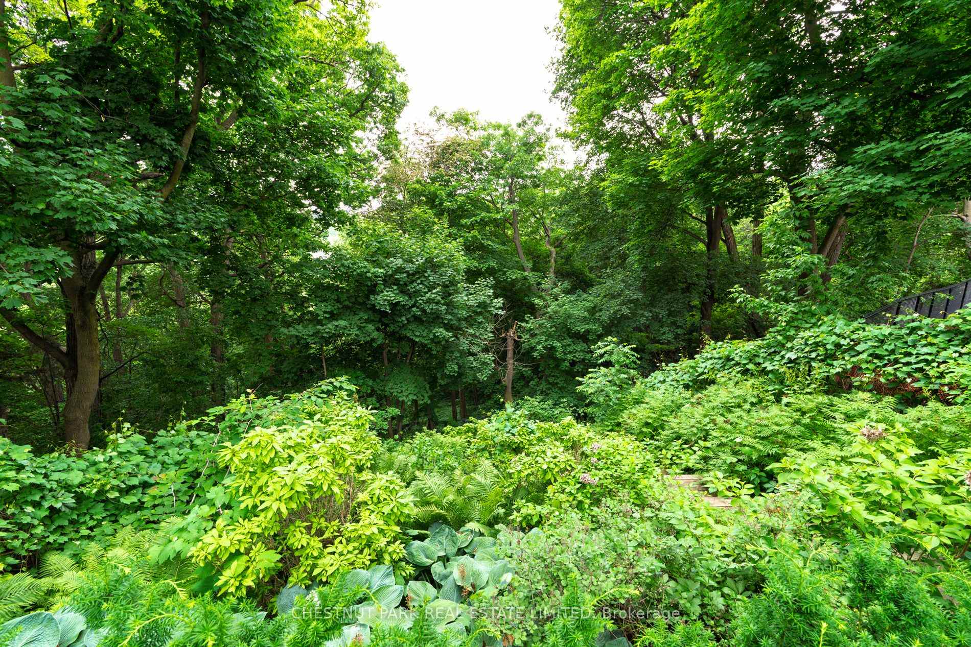 Photo 94 of 83 Binscarth Road, Toronto, Rosedale-Moore Park — HOMEH