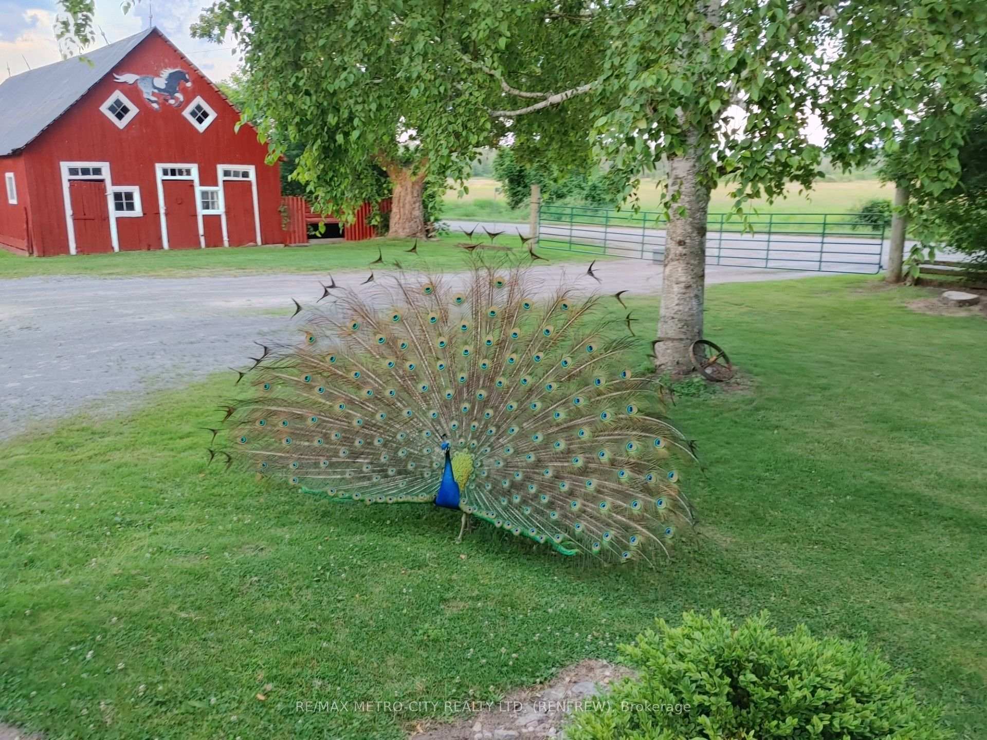 Photo 56 of 155 Storie Road, Horton, Horton Twp — HOMEH