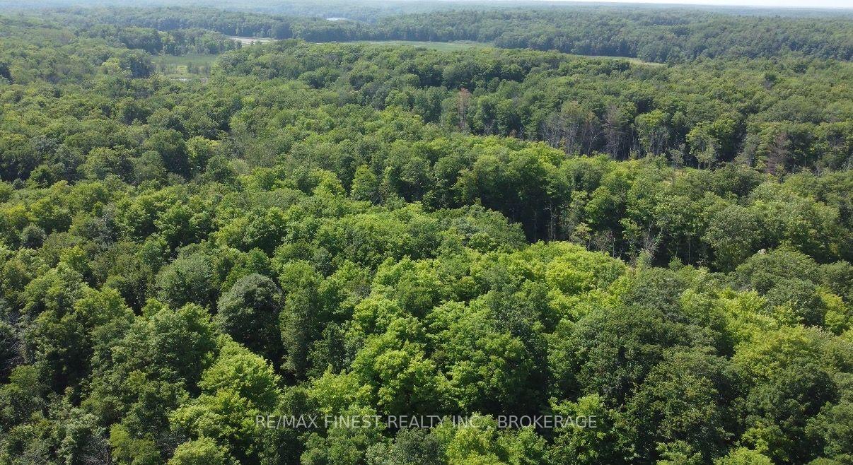 Photo 4 of PT LT 13 Ritchie Road, Frontenac, Frontenac South — HOMEH