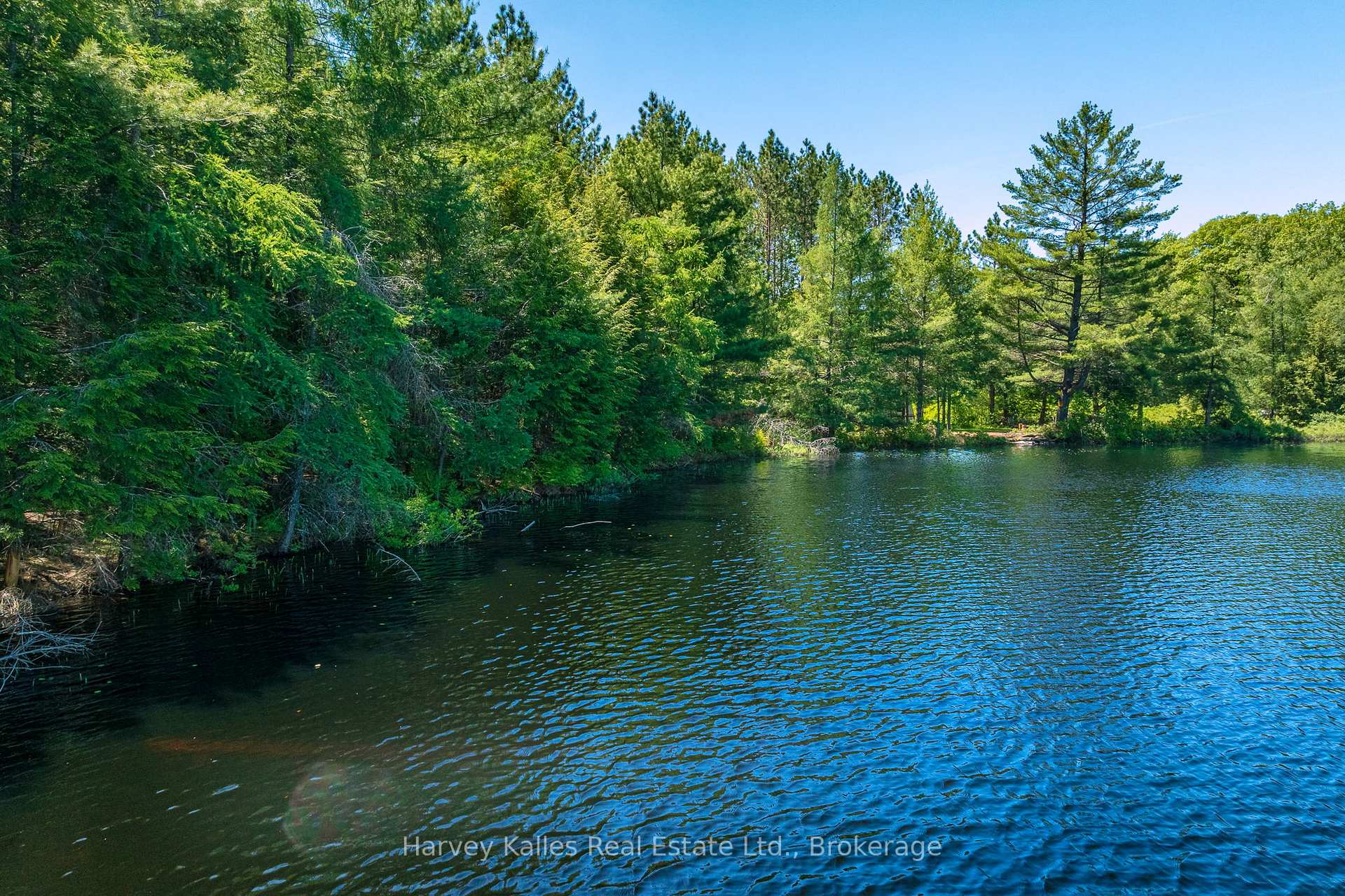 Photo 9 of 643B Highway 632, Seguin — HOMEH
