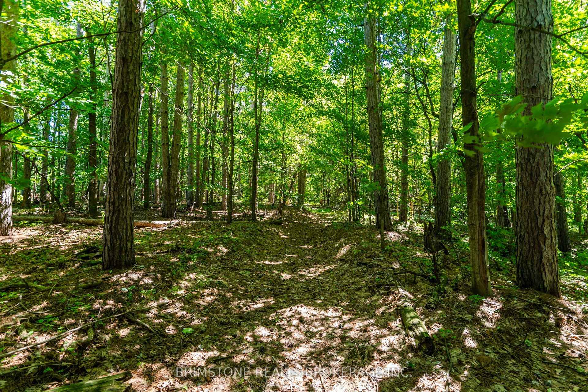 Photo 31 of 8231 56 County Road, Essa, Rural Essa — HOMEH