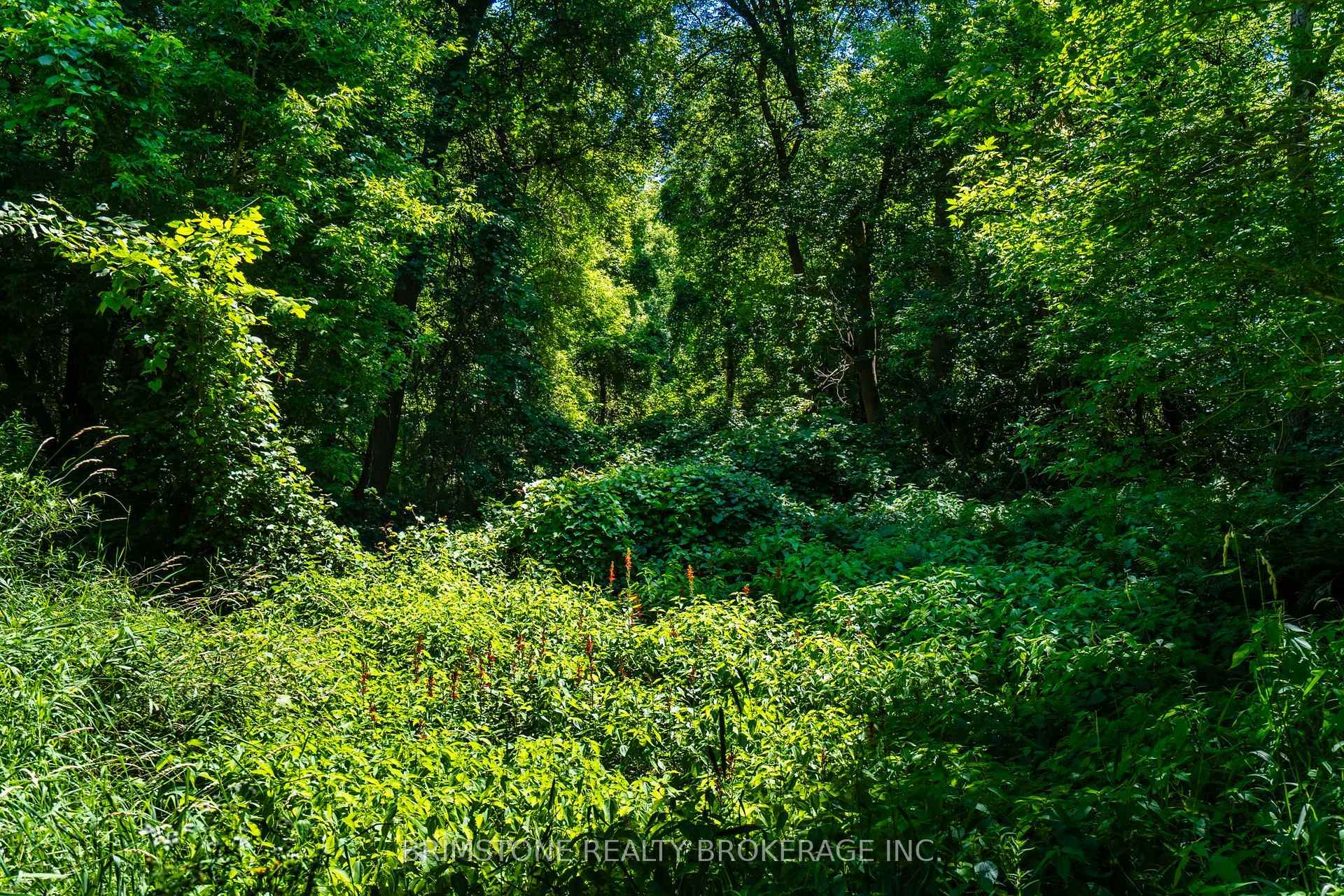 Photo 44 of 8231 56 County Road, Essa, Rural Essa — HOMEH