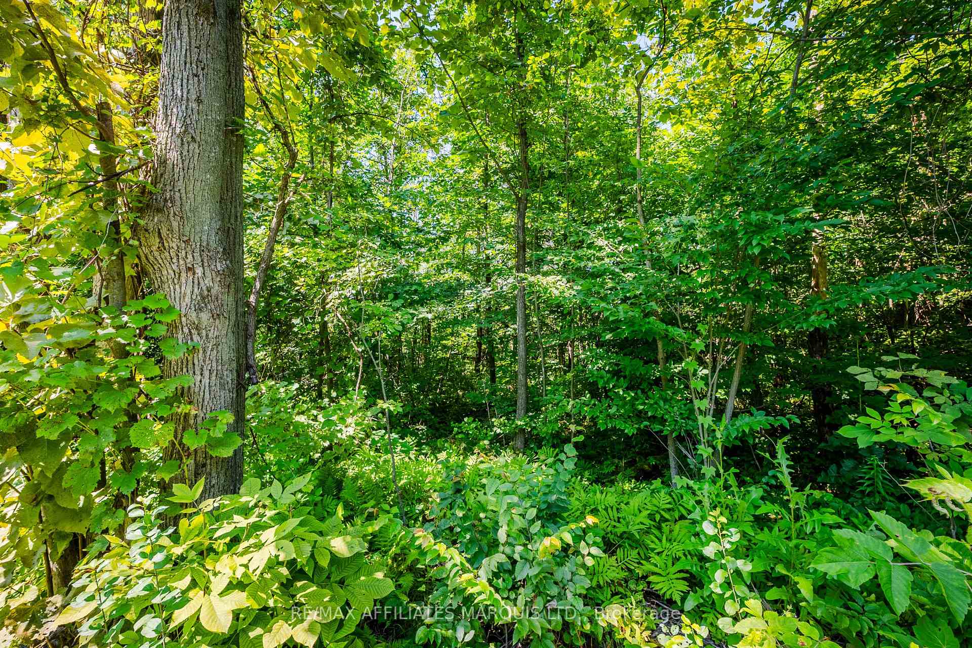 Photo 16 of 19519 Lapierre Road, South Glengarry, South Glengarry (Charlottenburgh) Twp — HOMEH