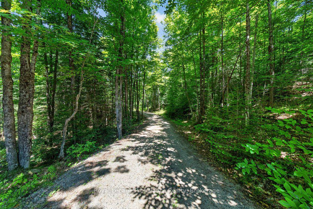 Photo 6 of 3201 River Road, North Frontenac, Frontenac North — HOMEH