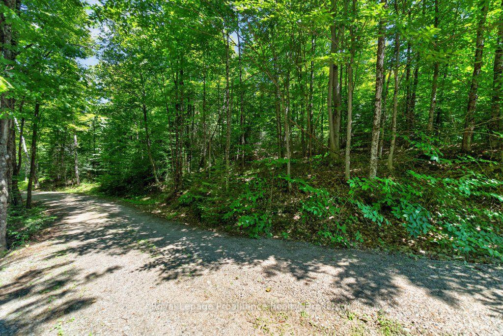 Photo 7 of 3201 River Road, North Frontenac, Frontenac North — HOMEH