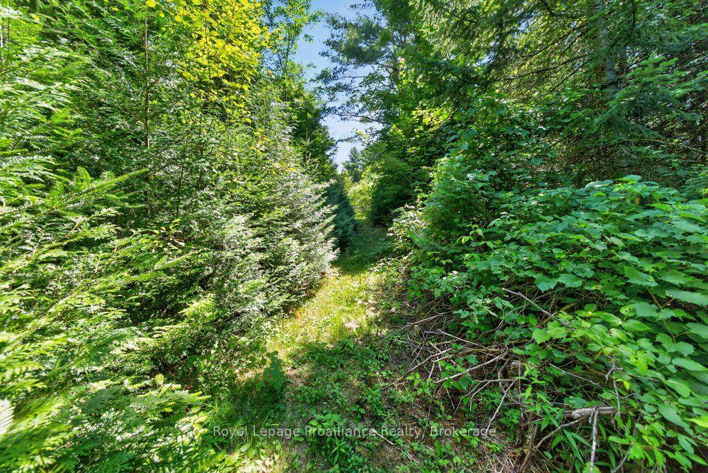 Photo 60 of 3201 River Road, North Frontenac, Frontenac North — HOMEH
