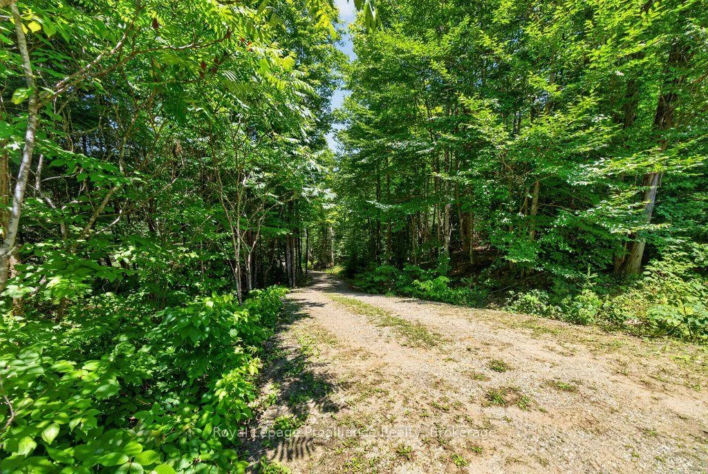 Photo 4 of 3201 River Road, North Frontenac, Frontenac North — HOMEH