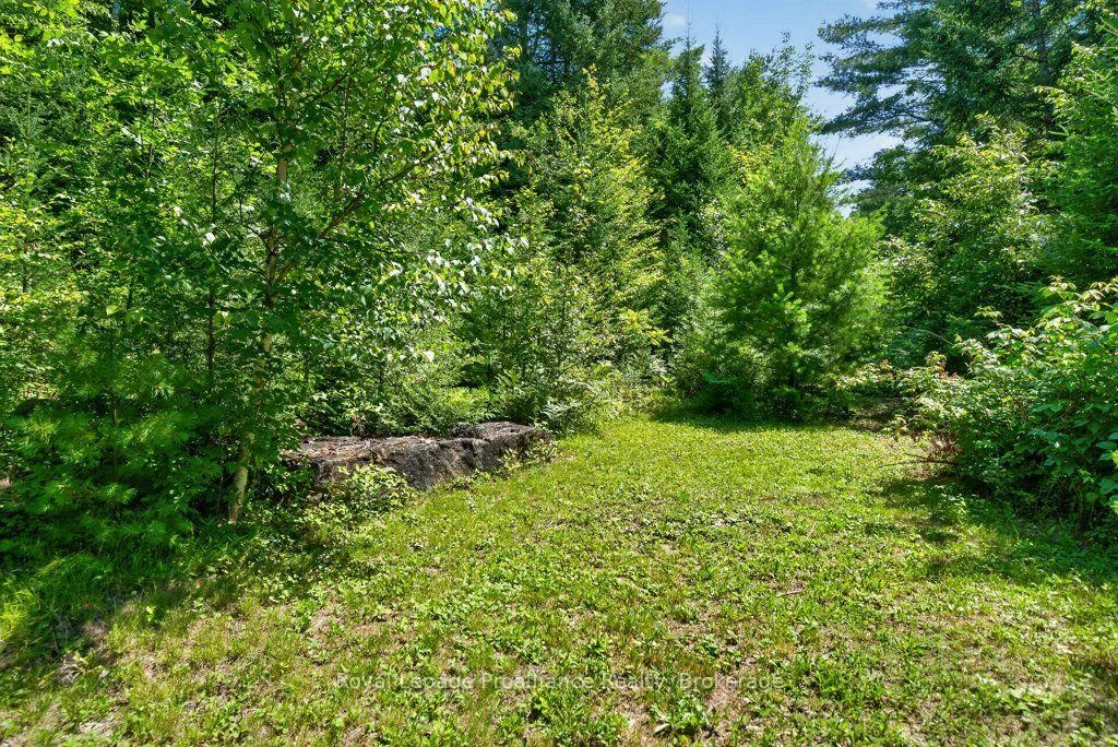 Photo 21 of 3201 River Road, North Frontenac, Frontenac North — HOMEH