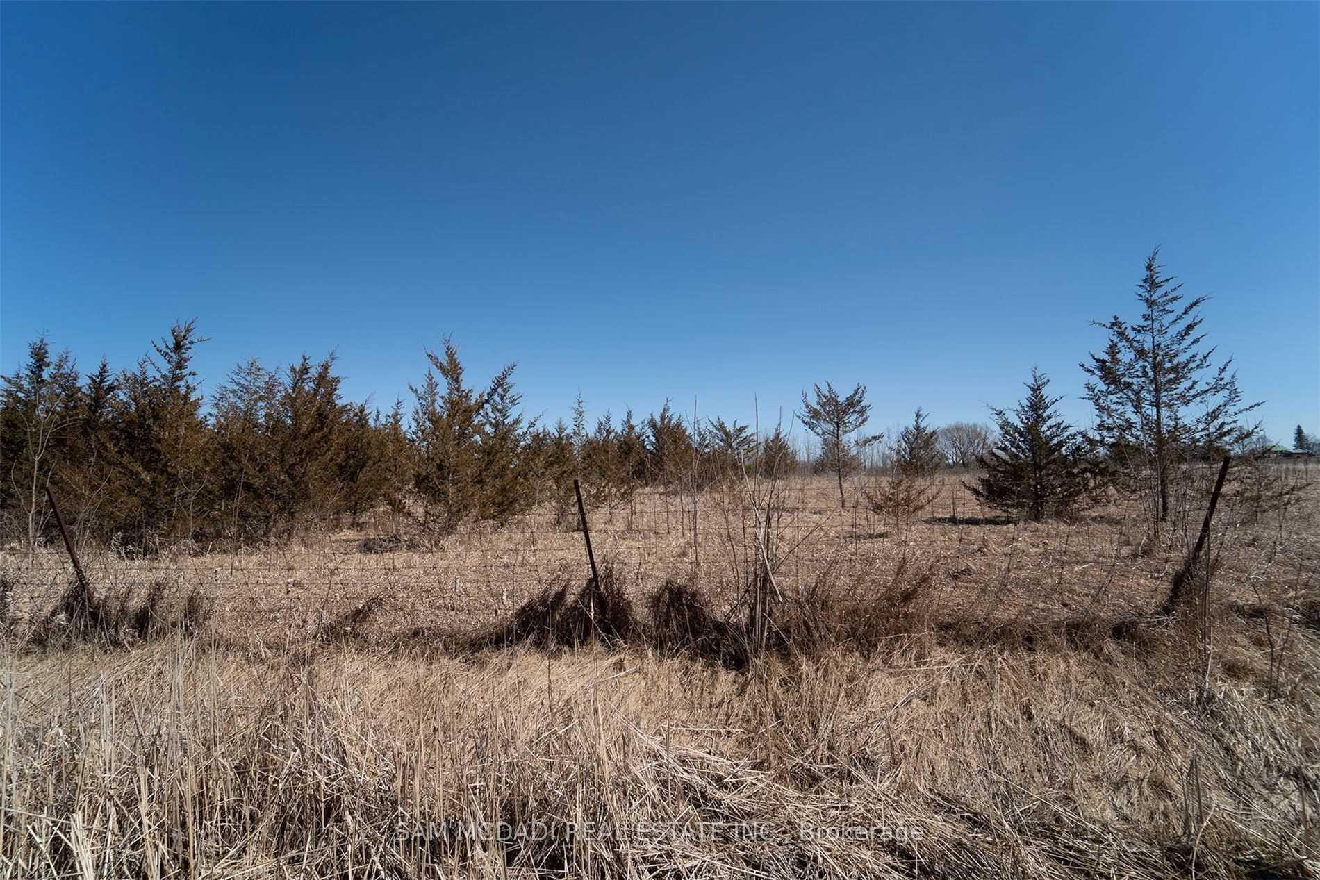 Photo 13 of Mitchell Road, Belleville, Belleville Ward — HOMEH