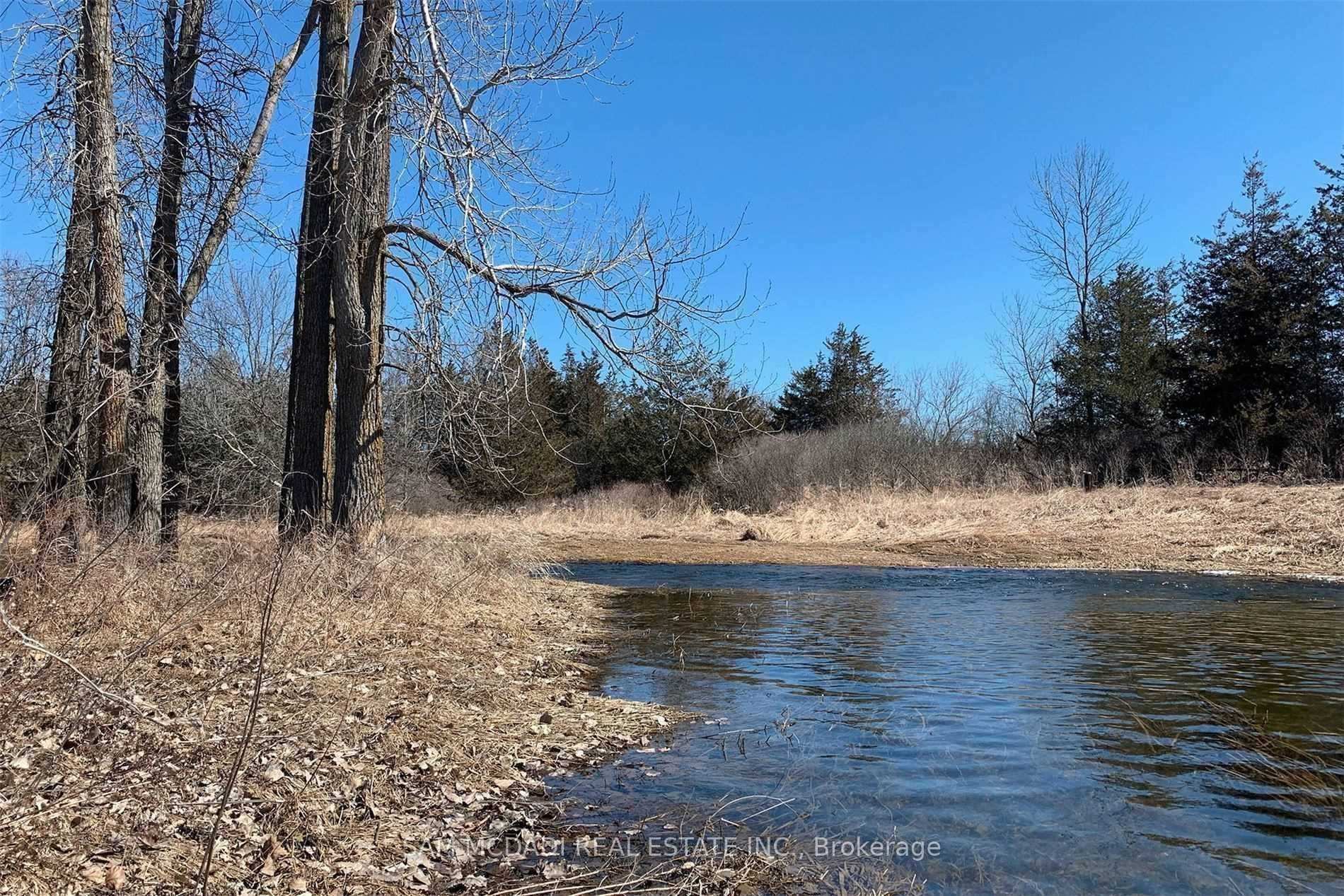 Photo 16 of Mitchell Road, Belleville, Belleville Ward — HOMEH