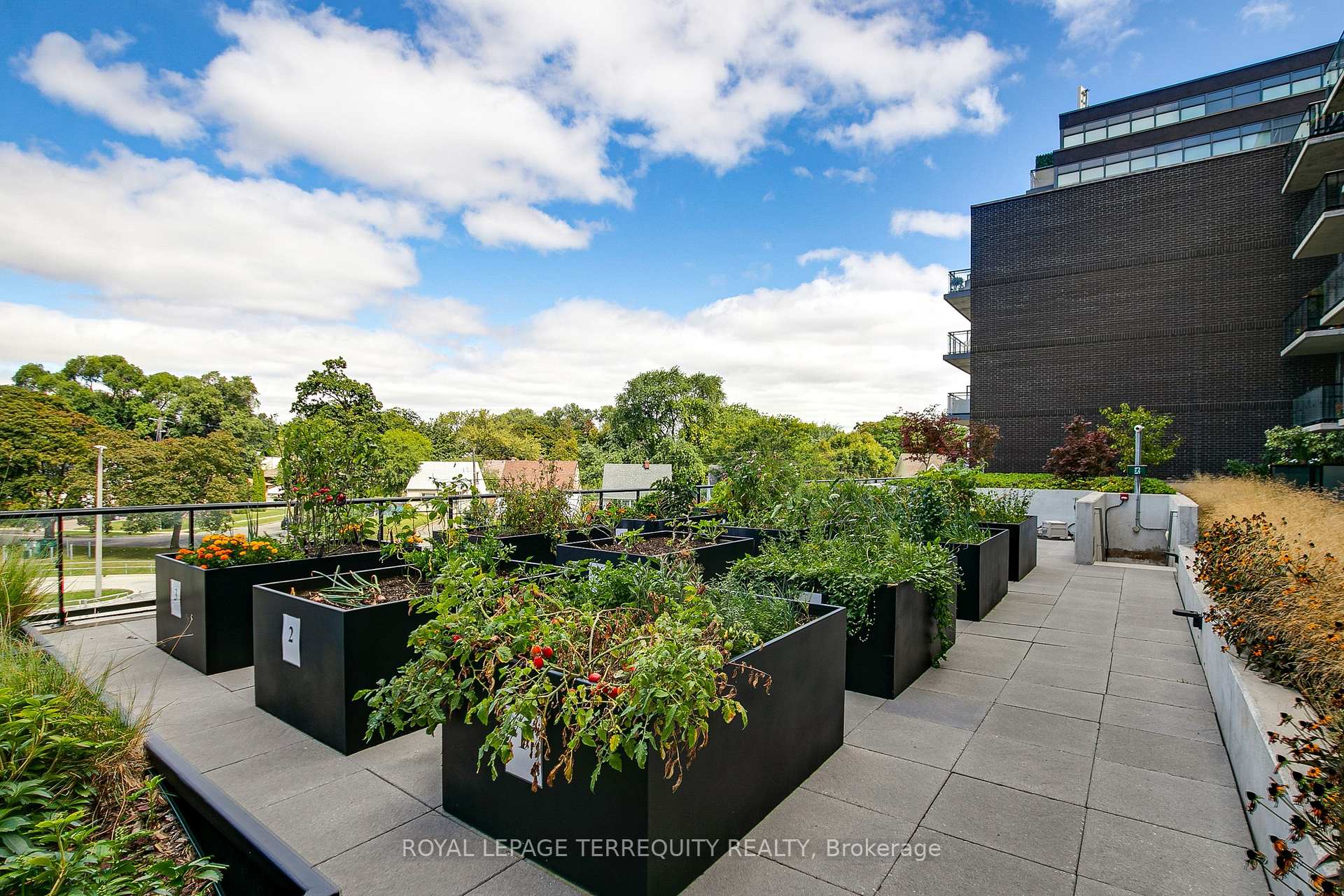 Photo 21 of Unit 526, 7 Smith Crescent, Etobicoke, Stonegate-Queensway — HOMEH