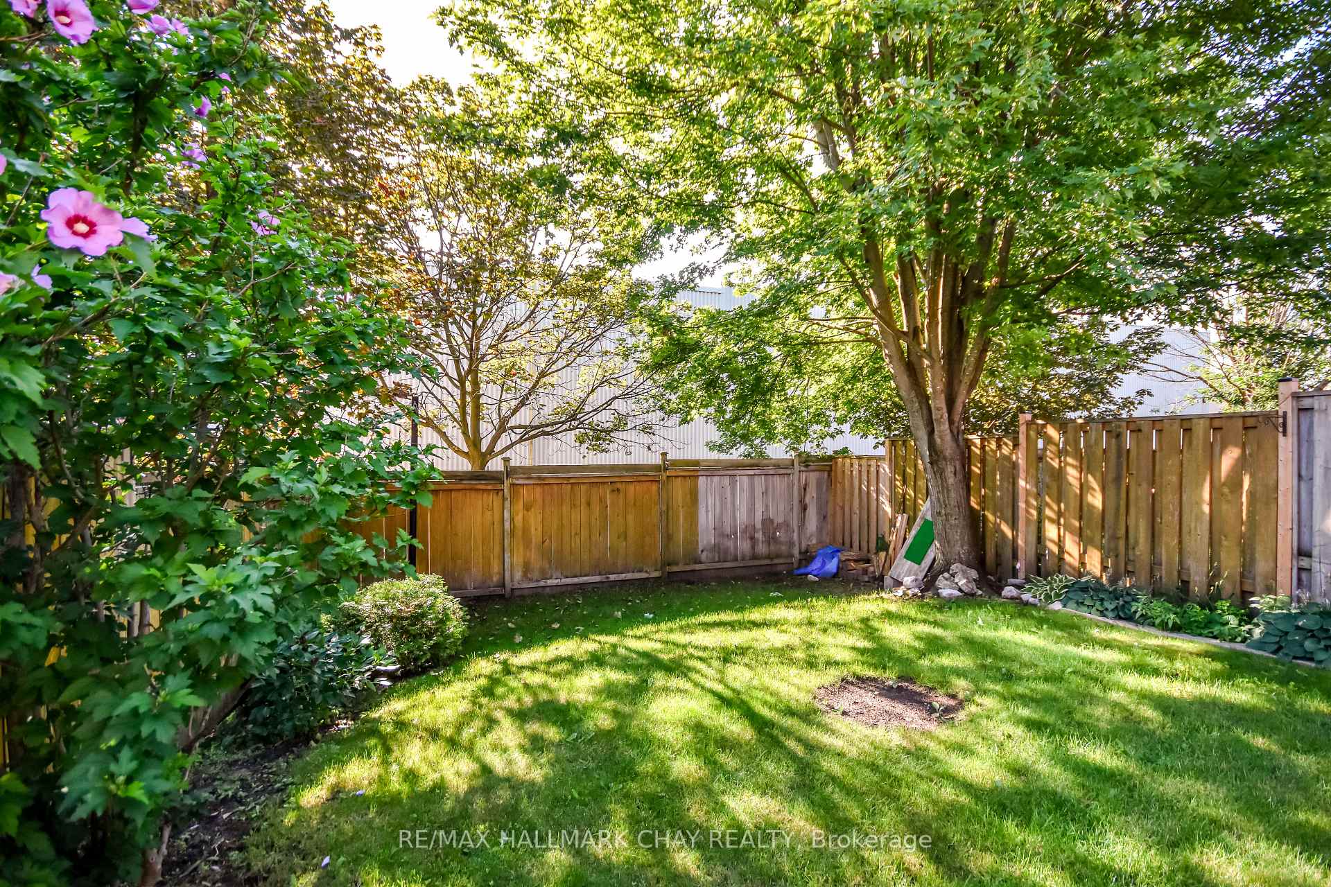 Photo 39 of 17 Srigley Street, Barrie, Holly — HOMEH