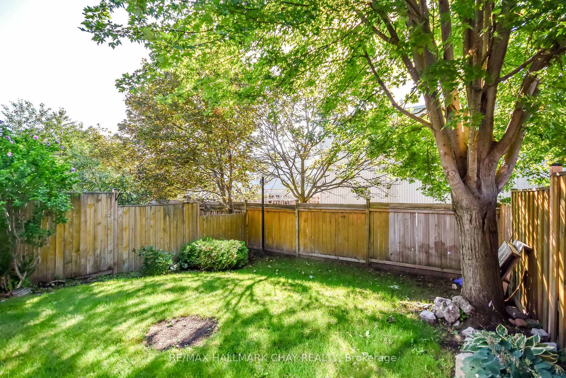 Photo 40 of 17 Srigley Street, Barrie, Holly — HOMEH