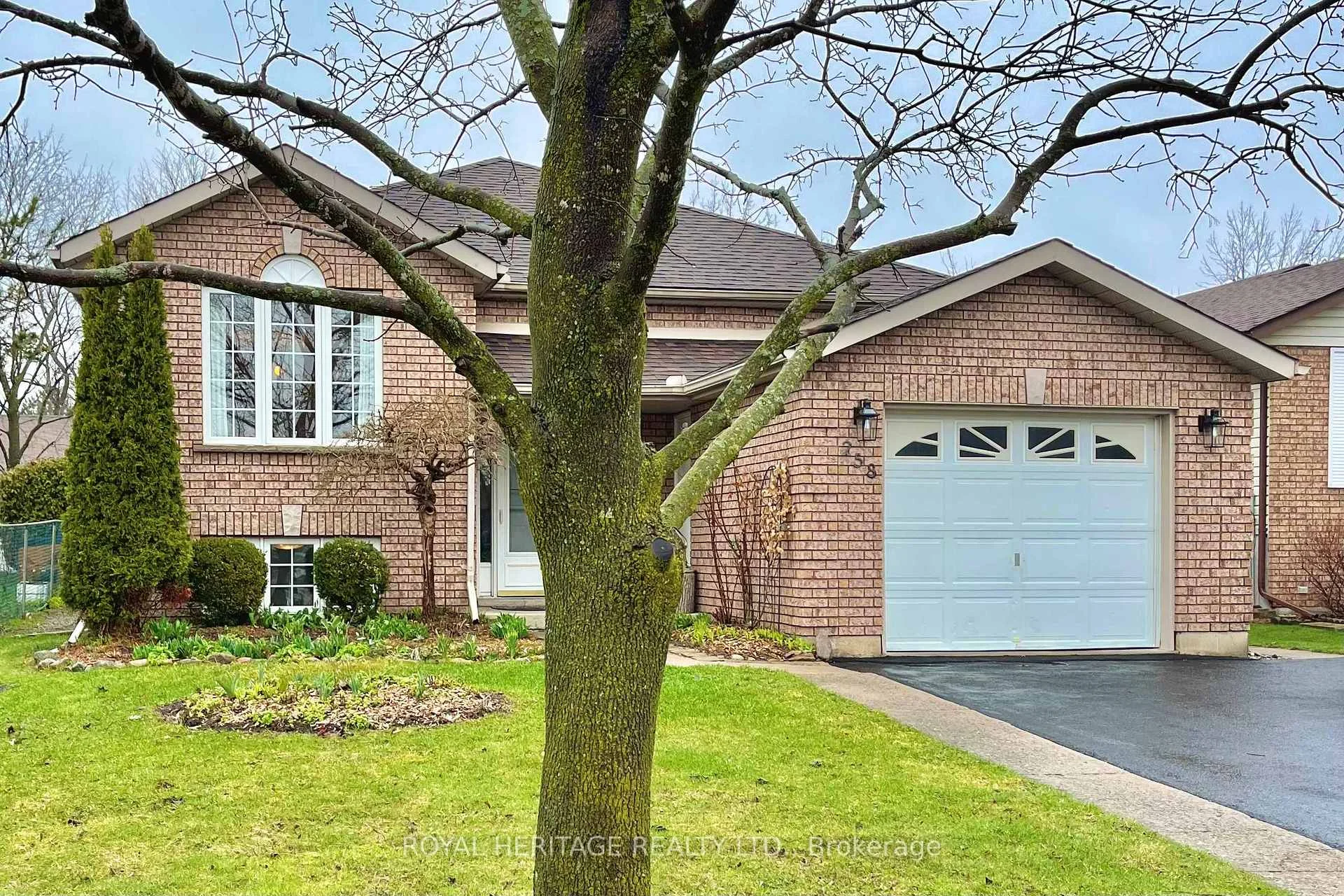 Photo 2 of 258 Franmor Drive, Peterborough, Ashburnham Ward 4 — HOMEH