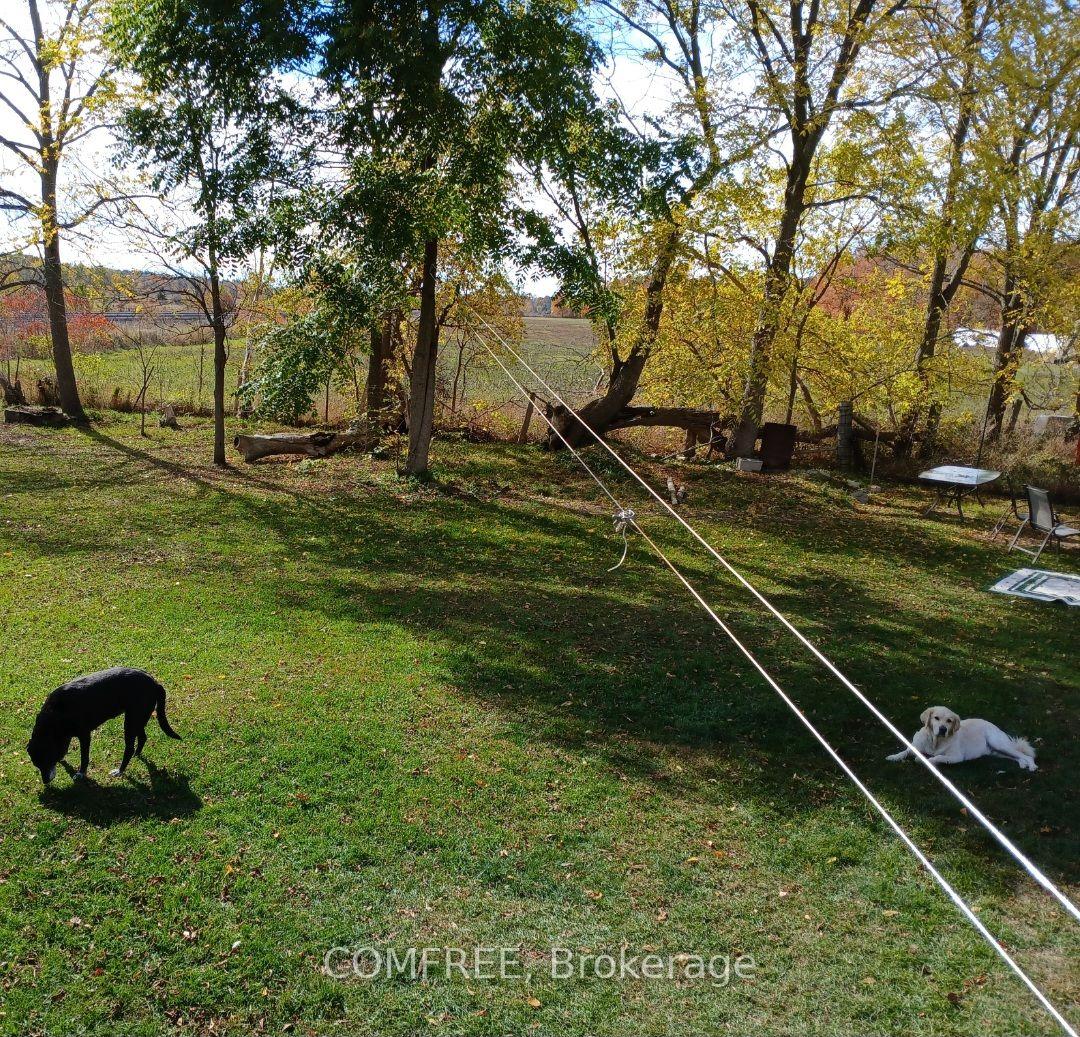 Photo 31 of 2 Miller Street, Lansdowne Village, Lansdowne Village — HOMEH