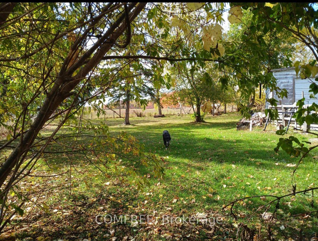 Photo 34 of 2 Miller Street, Lansdowne Village, Lansdowne Village — HOMEH