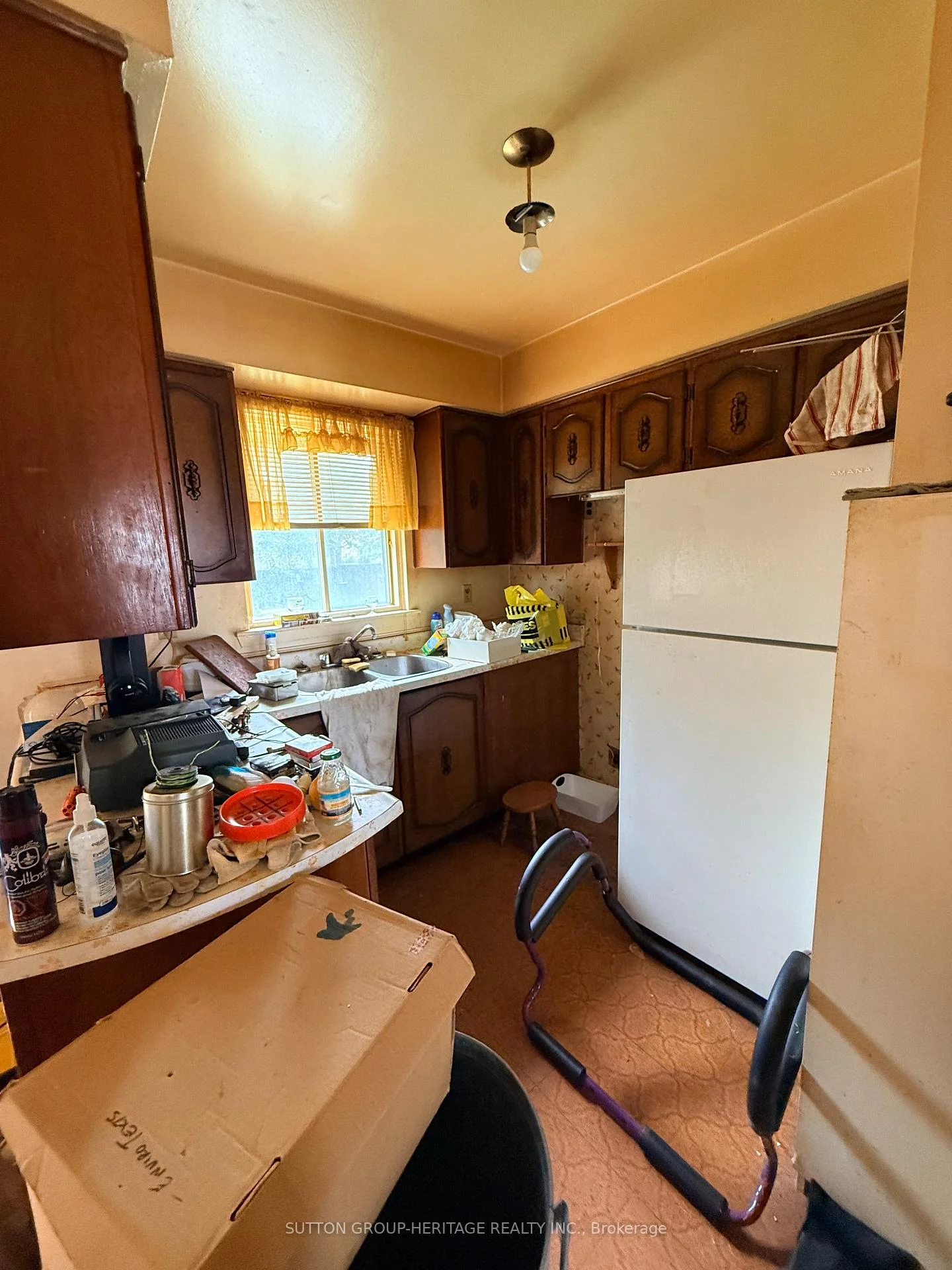 Photo 10 of 41 Harrison Court, Whitby, Pringle Creek — HOMEH