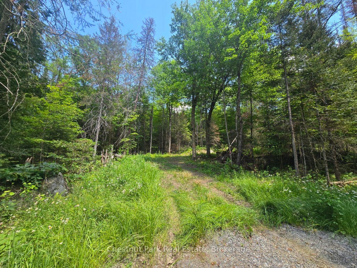 Photo 2 of 1630 Midlothian Road, Ryerson — HOMEH