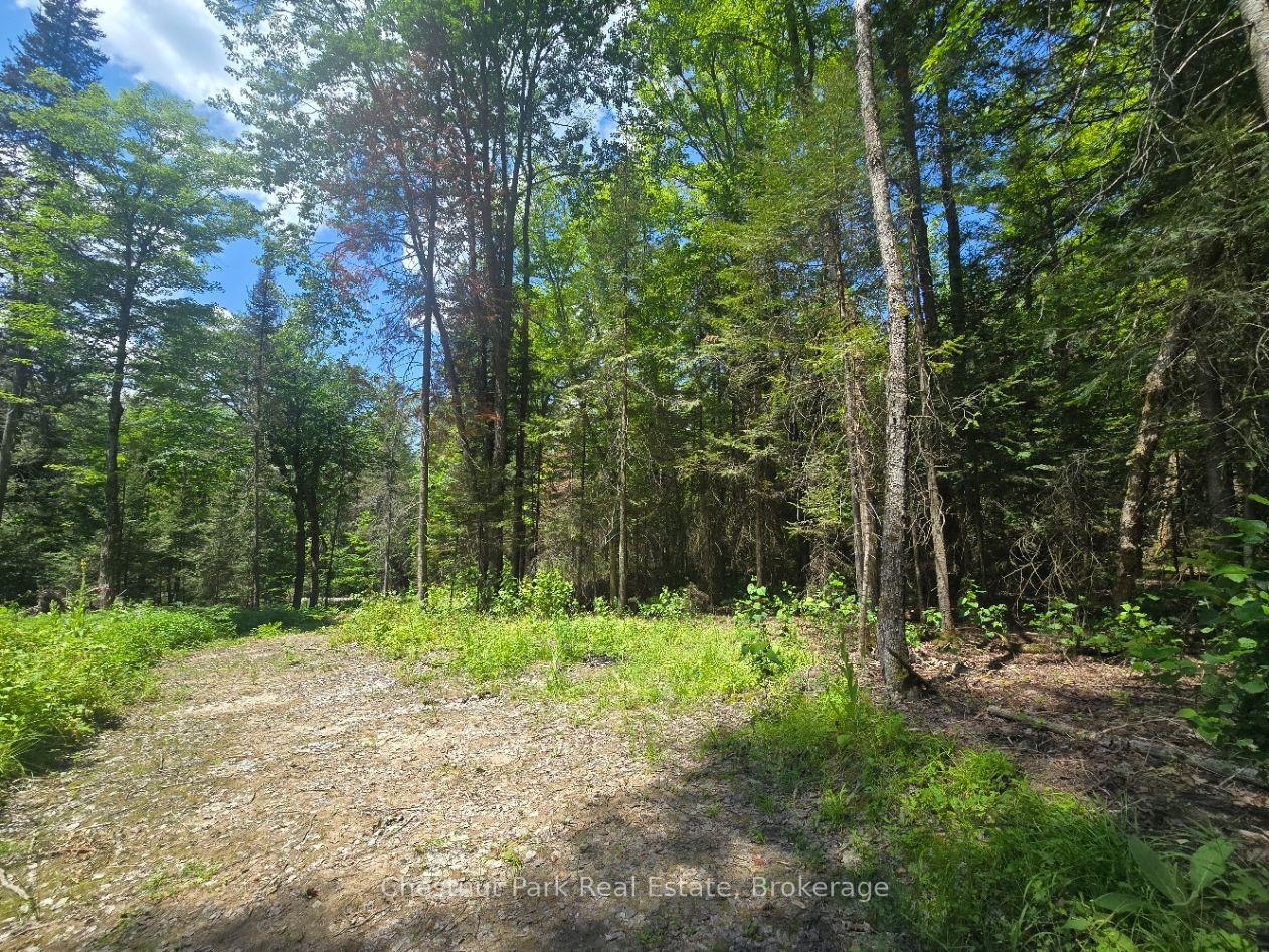 Photo 5 of 1630 Midlothian Road, Ryerson — HOMEH