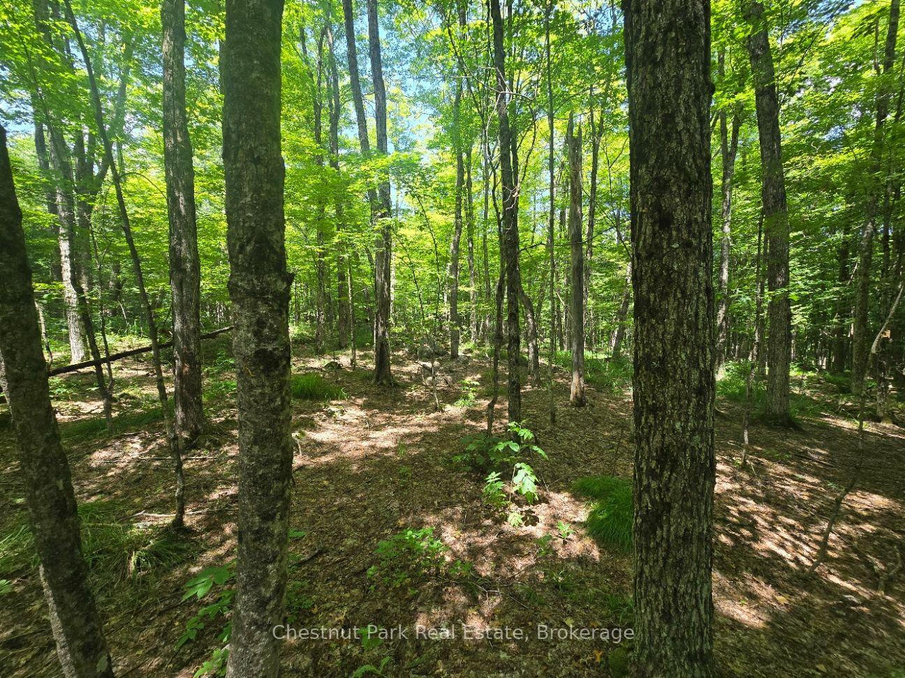Photo 8 of 1630 Midlothian Road, Ryerson — HOMEH