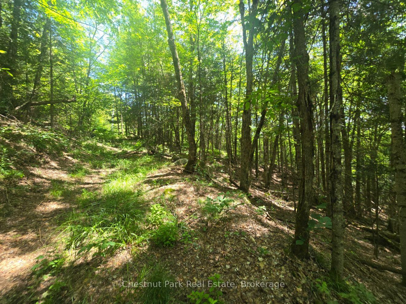 Photo 10 of 1630 Midlothian Road, Ryerson — HOMEH